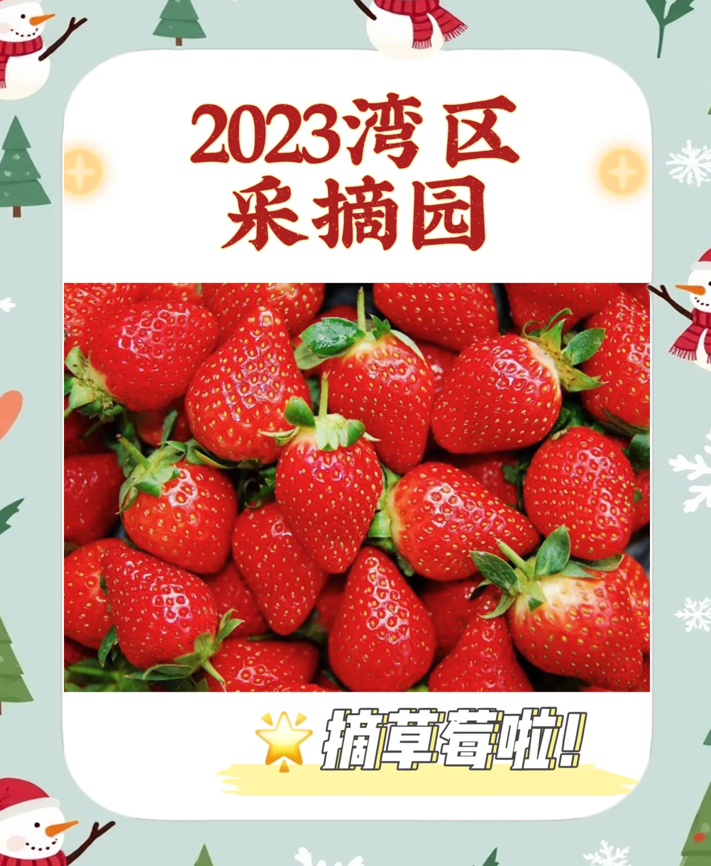 草莓视频下下载安装草莓视频下载安装指南-第2张图片