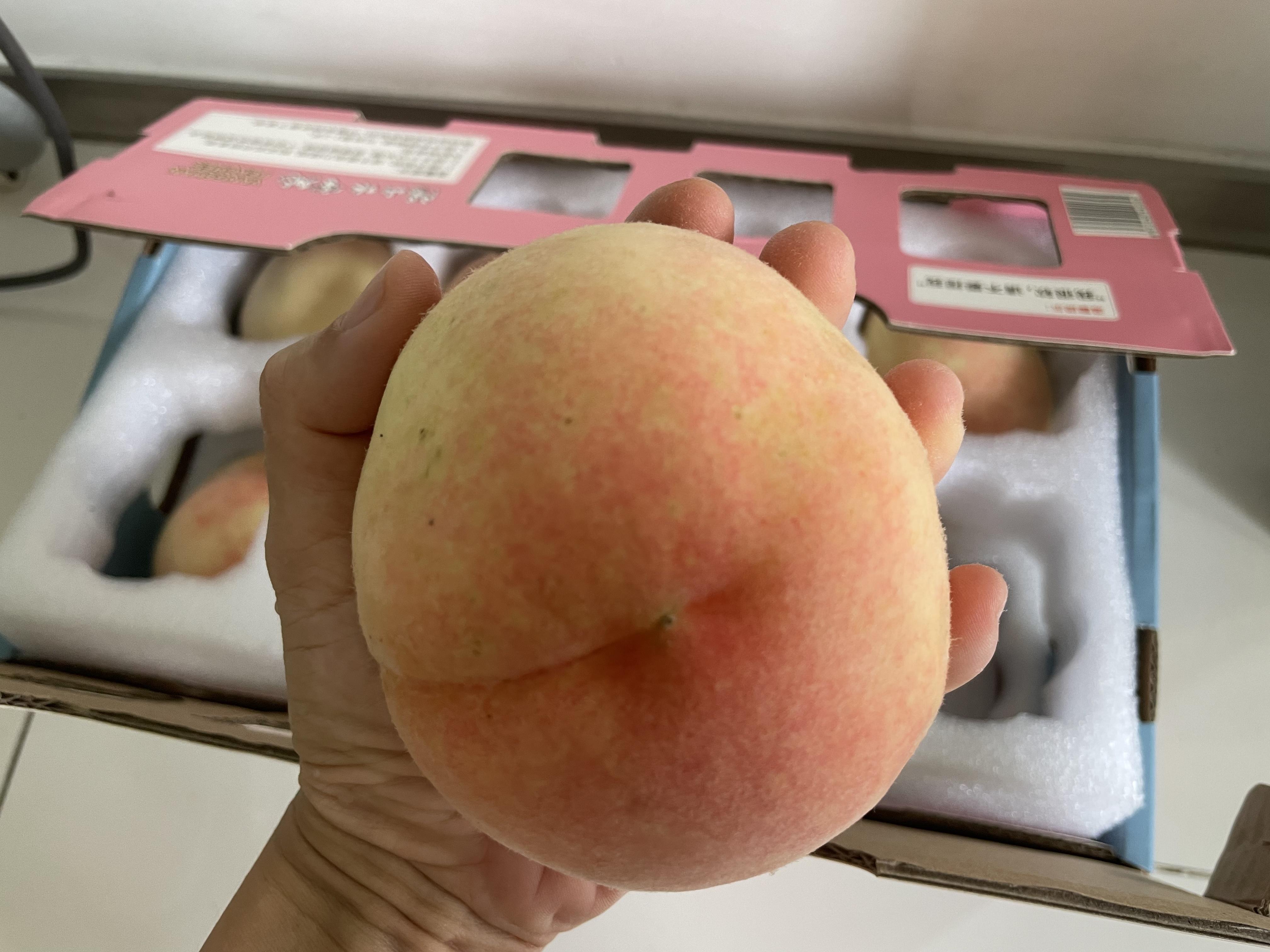 水蜜桃着色入口av水蜜桃着色入口之美-第2张图片
