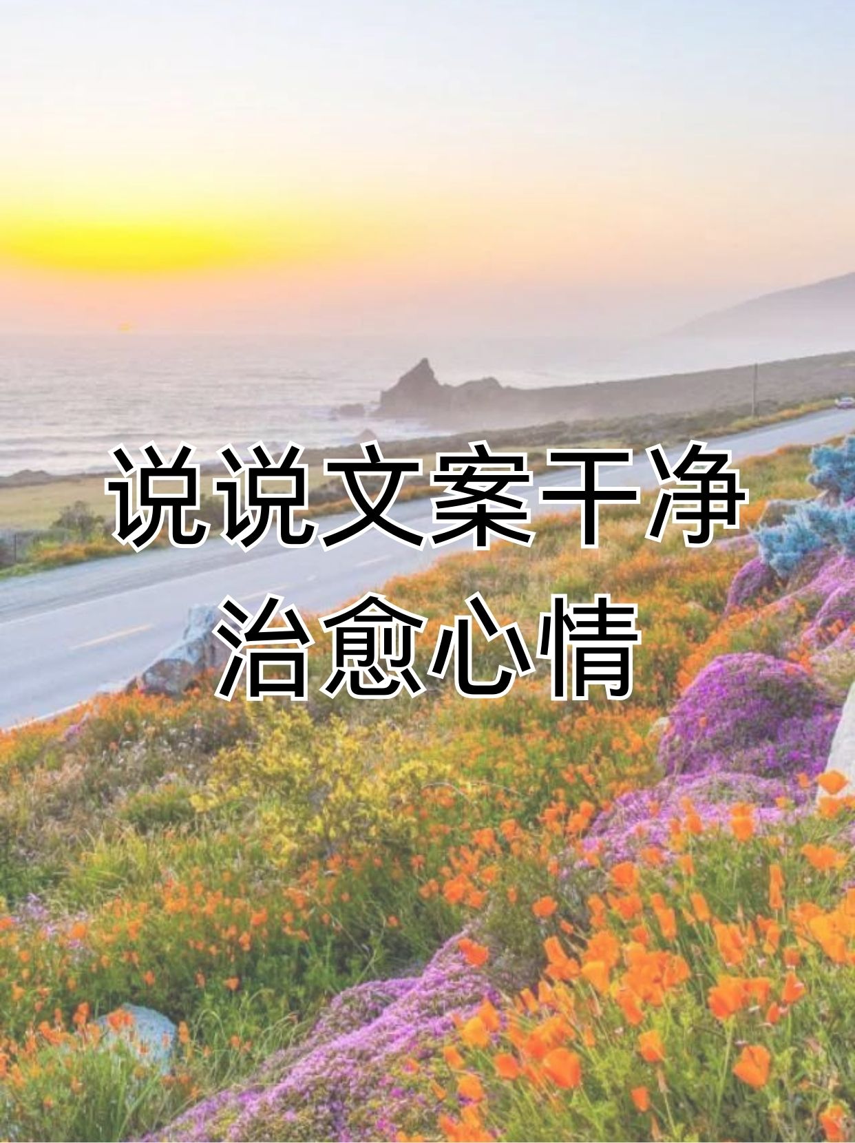 安慰剂未增减，心灵的抚慰-第1张图片