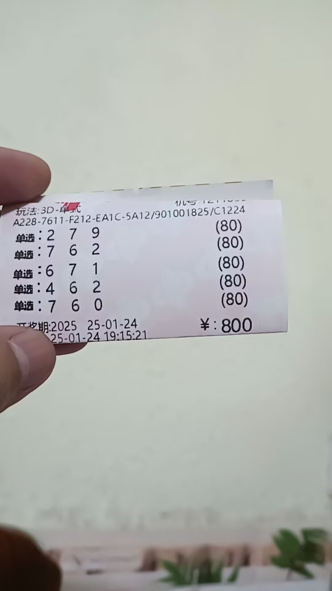 3D开奖结果?3D开奖结果揭晓