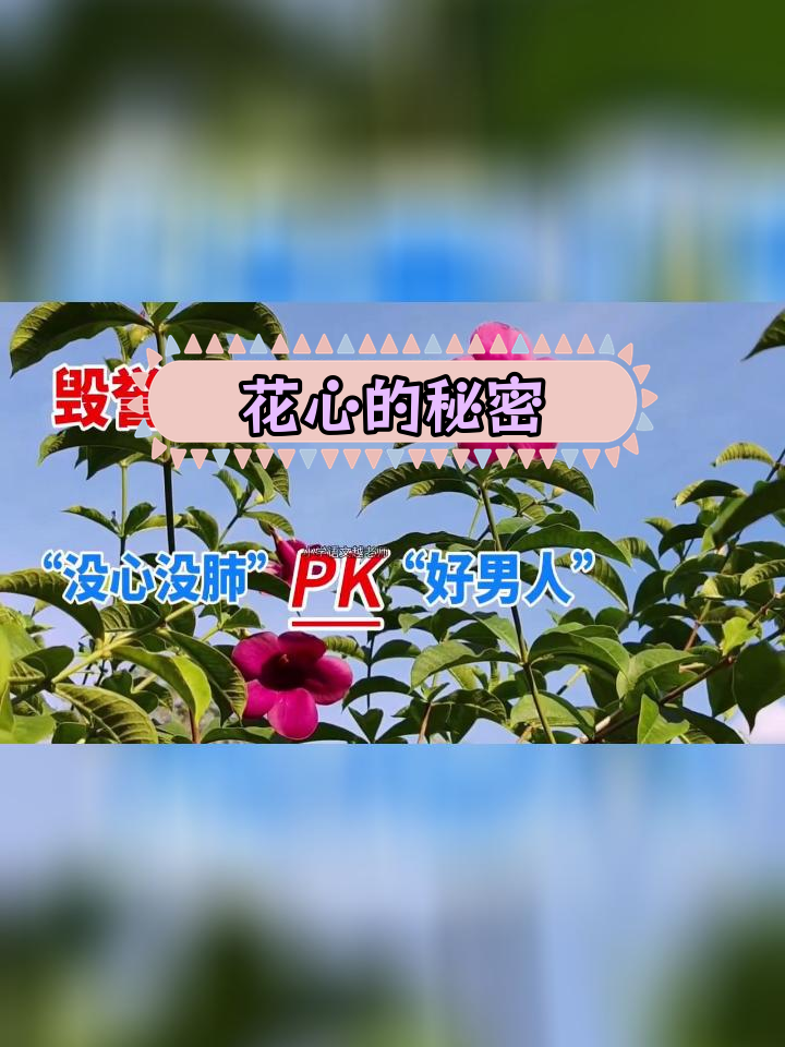 知花什么意思知花メイサ，花卉与生活的奇妙交融-第2张图片
