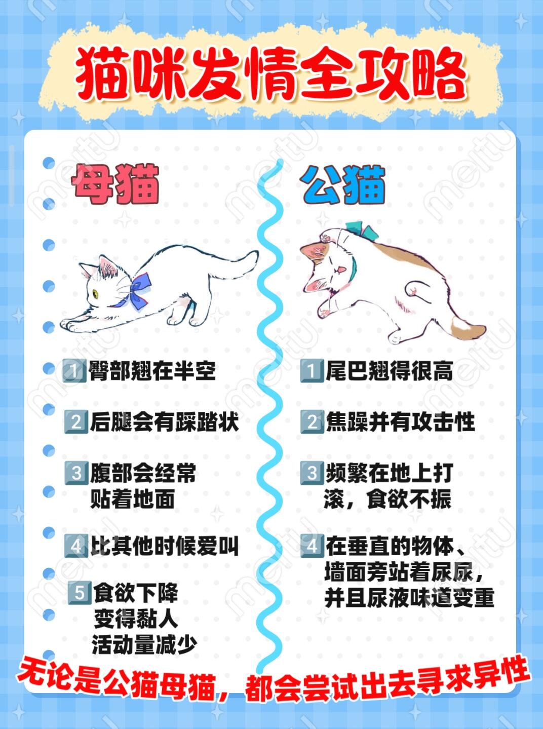 信口雌黄最佳答案是什么动物信口雌黄，蚂蚁庄园的趣味探讨