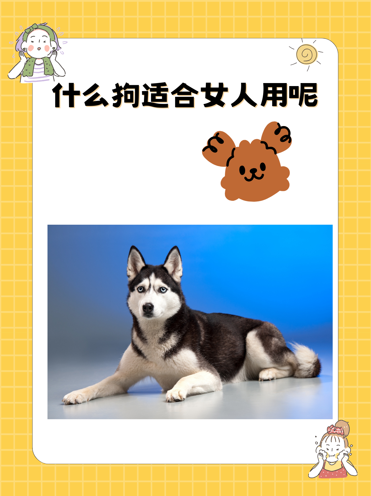 什么狗适合女人用呢英文什么狗适合女人用-第2张图片