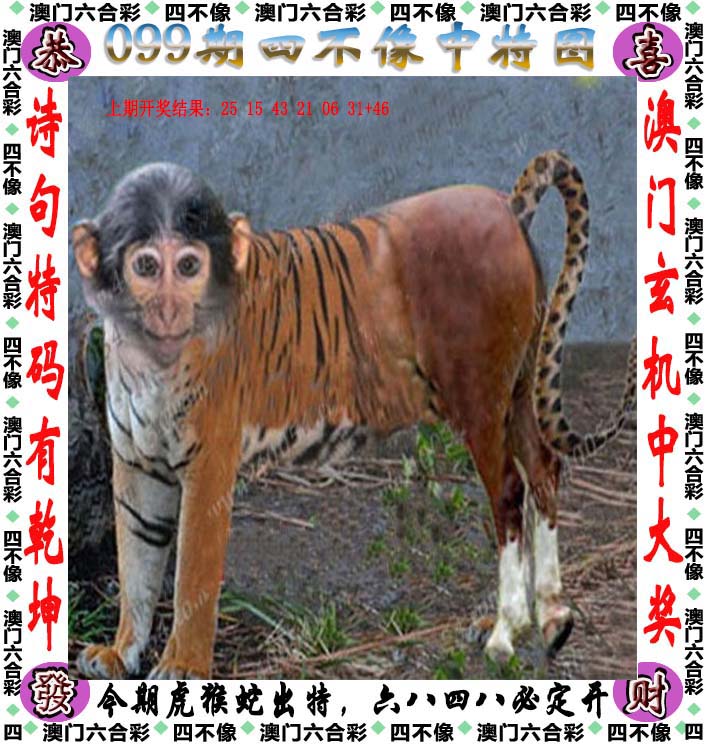 二四六天天好彩精选资料图片二四六天天好彩-第3张图片