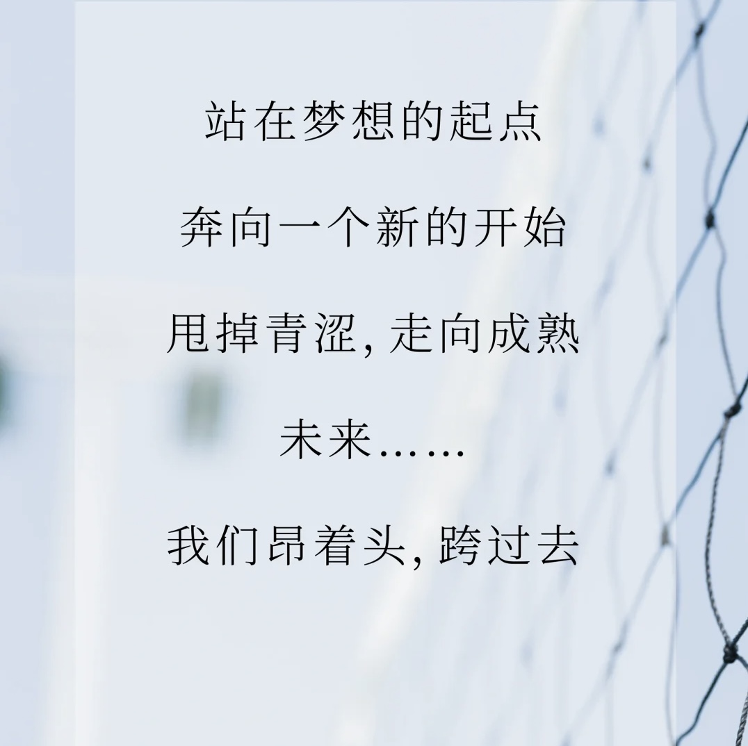 成人五，探索成长与责任的边界-第2张图片