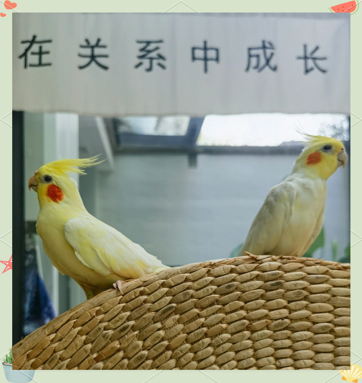 有没有弄过儿子的吗有没有弄过儿子的？探讨亲子关系与成长之路-第1张图片
