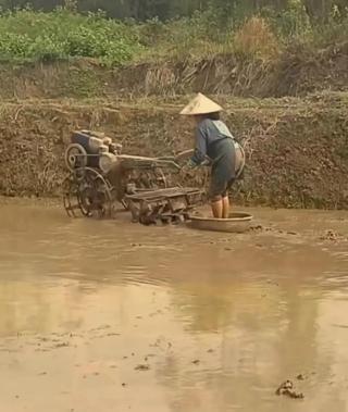 儿子耕种母亲的田儿子耕种母亲的田-第3张图片