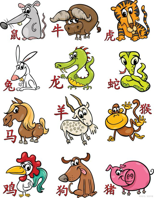 逗留不进是什么生肖-第2张图片