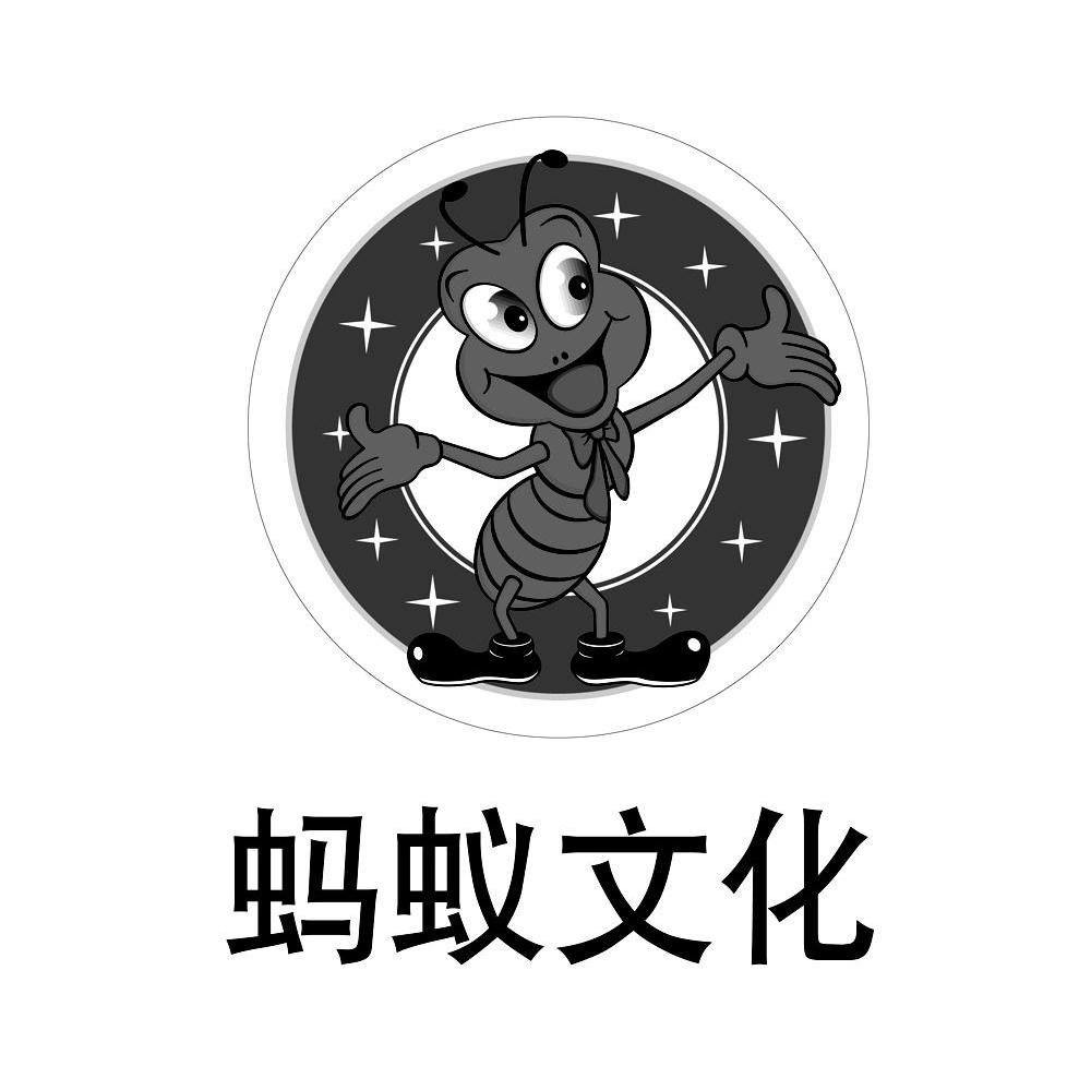 BT蚂蚁天堂，探索数字时代的神秘乐园-第1张图片