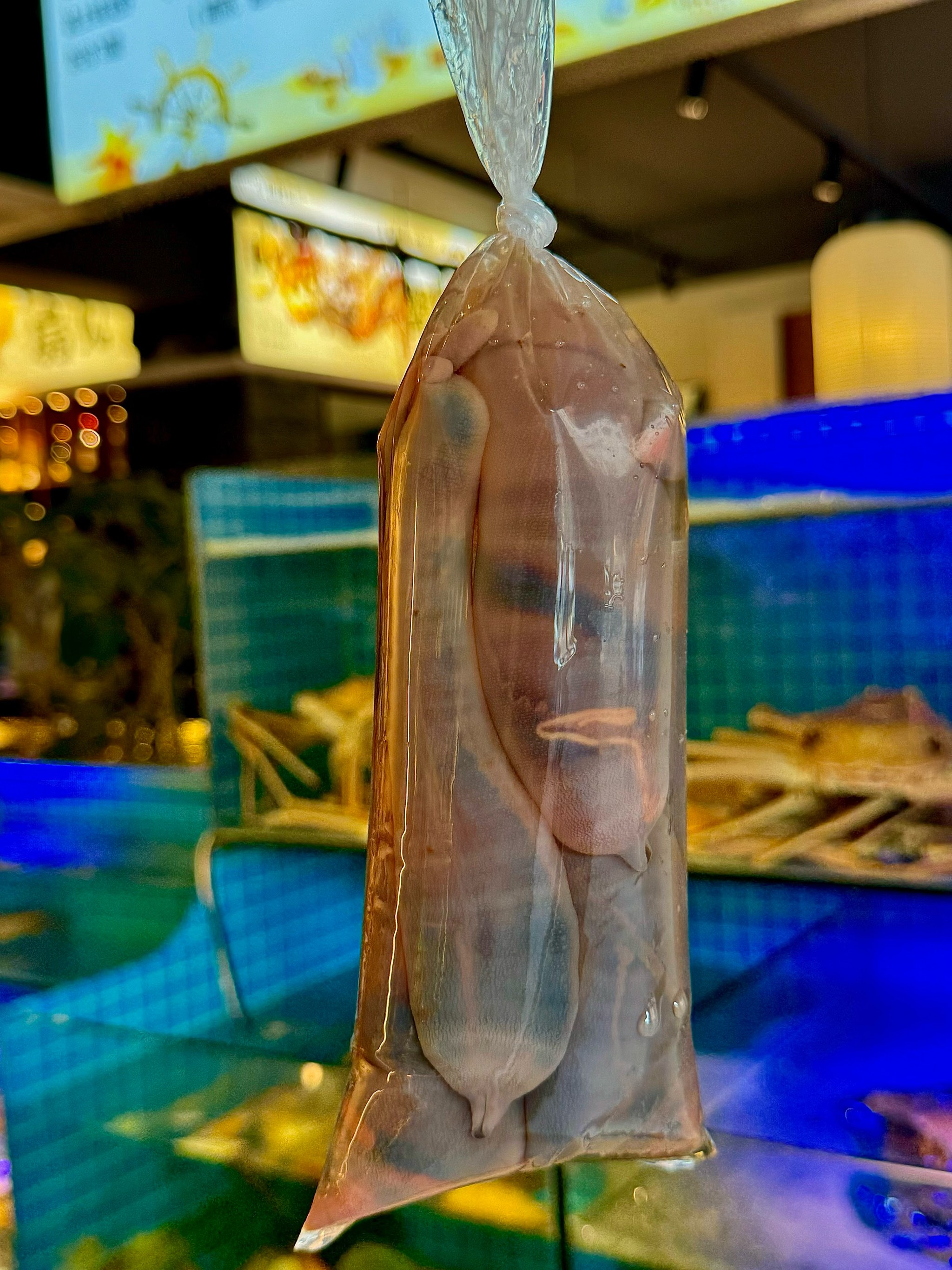 宝宝大腿分出美味扇贝-第1张图片