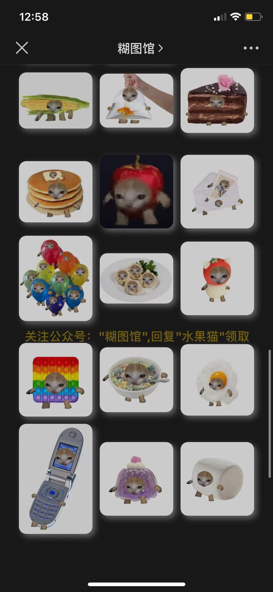 新版猫咪目前的地址在IOS平台上的介绍-第2张图片