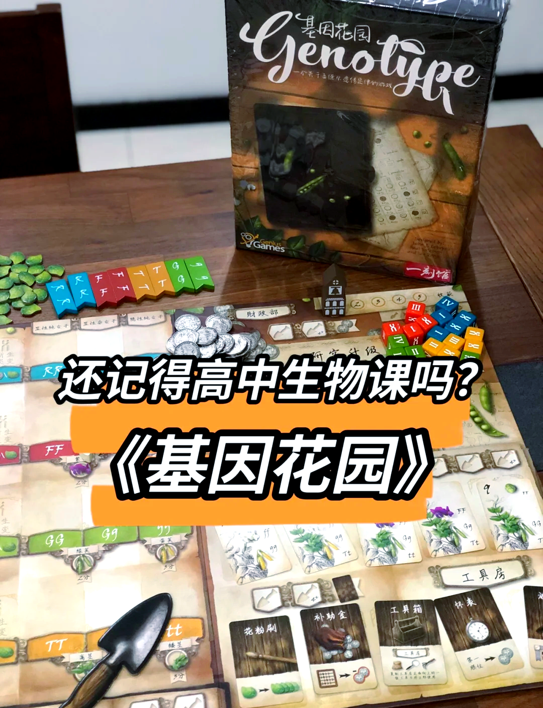 我成了生物课的教具篇1关键词小说我成为了生物课的教具-第1张图片