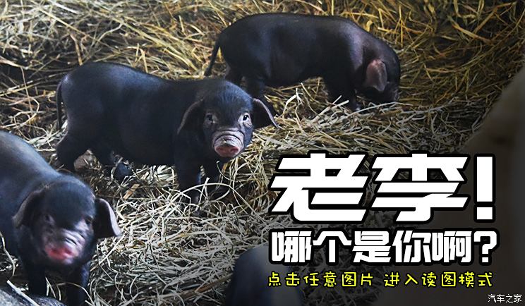 坐公交车最后一排跟陌生人坐坐公交车最后一排的陌生人之旅-第1张图片
