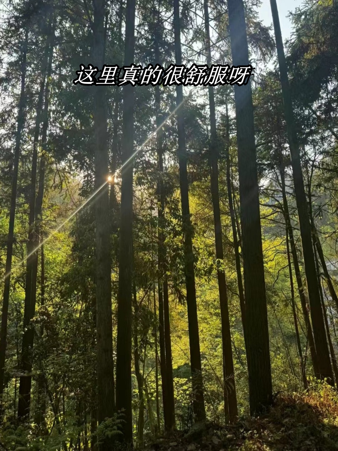 北京到张家界怎么走最方便北京到张家界之旅-第2张图片