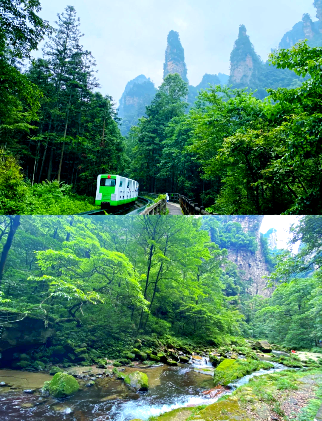 北京到张家界怎么走最方便北京到张家界之旅-第3张图片