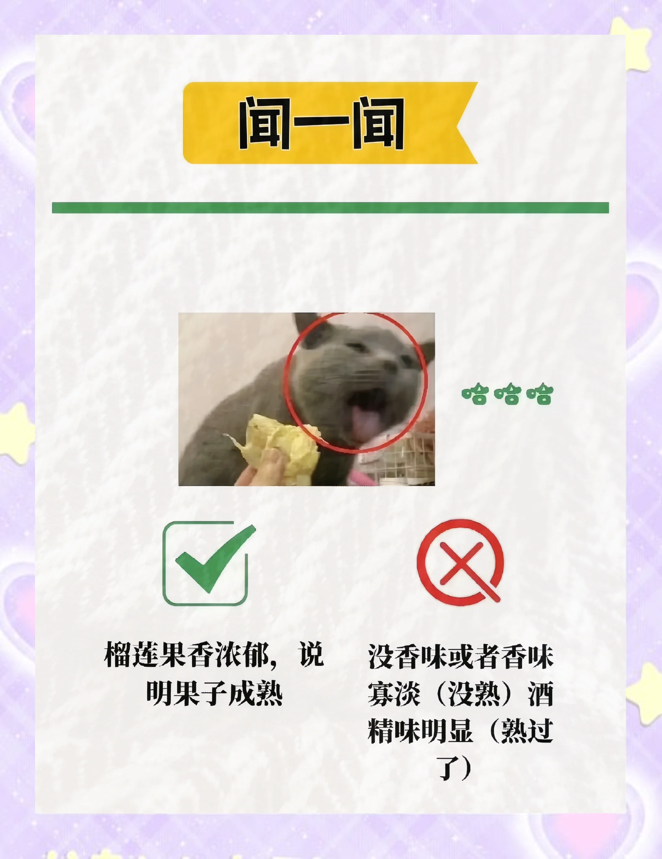 榴莲视频7.4.1，探索榴莲的魅力与乐趣-第2张图片