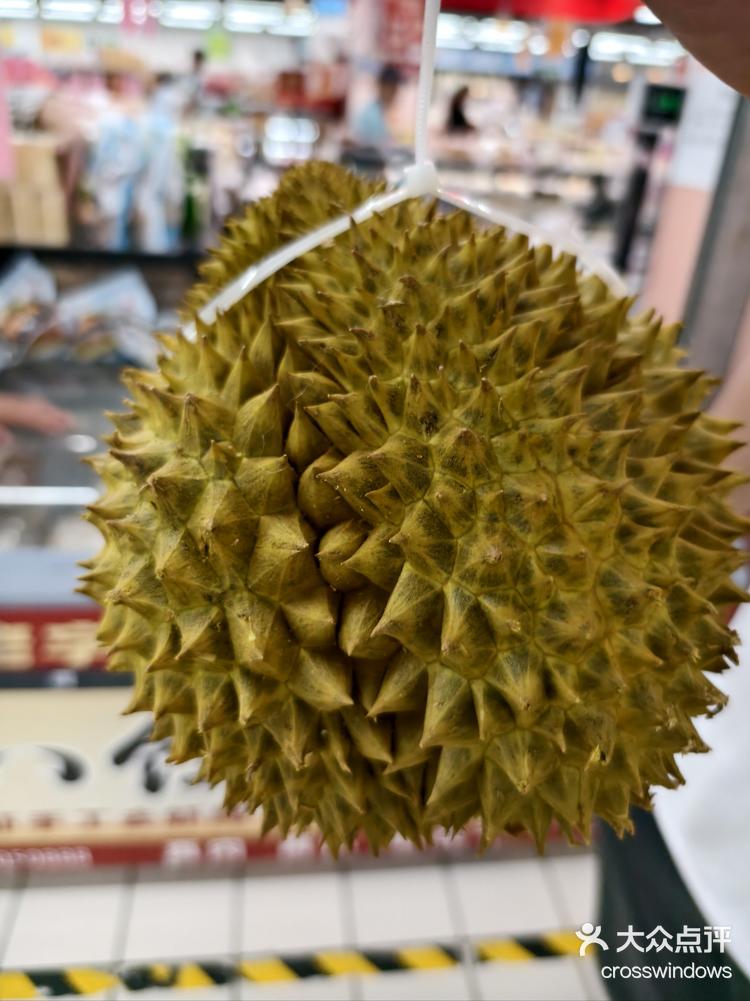 榴莲视频7.4.1，探索榴莲的魅力与乐趣-第1张图片