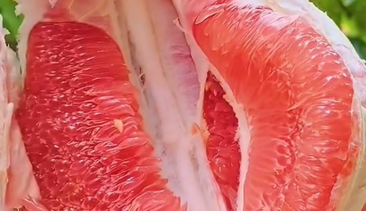 蜜柚在线观看免费高清官网视频-第1张图片