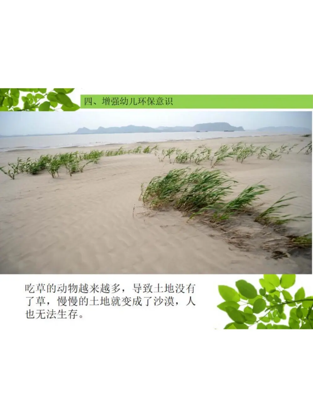 大鱼吃小鱼1中文版大鱼吃小鱼1中文版-第1张图片