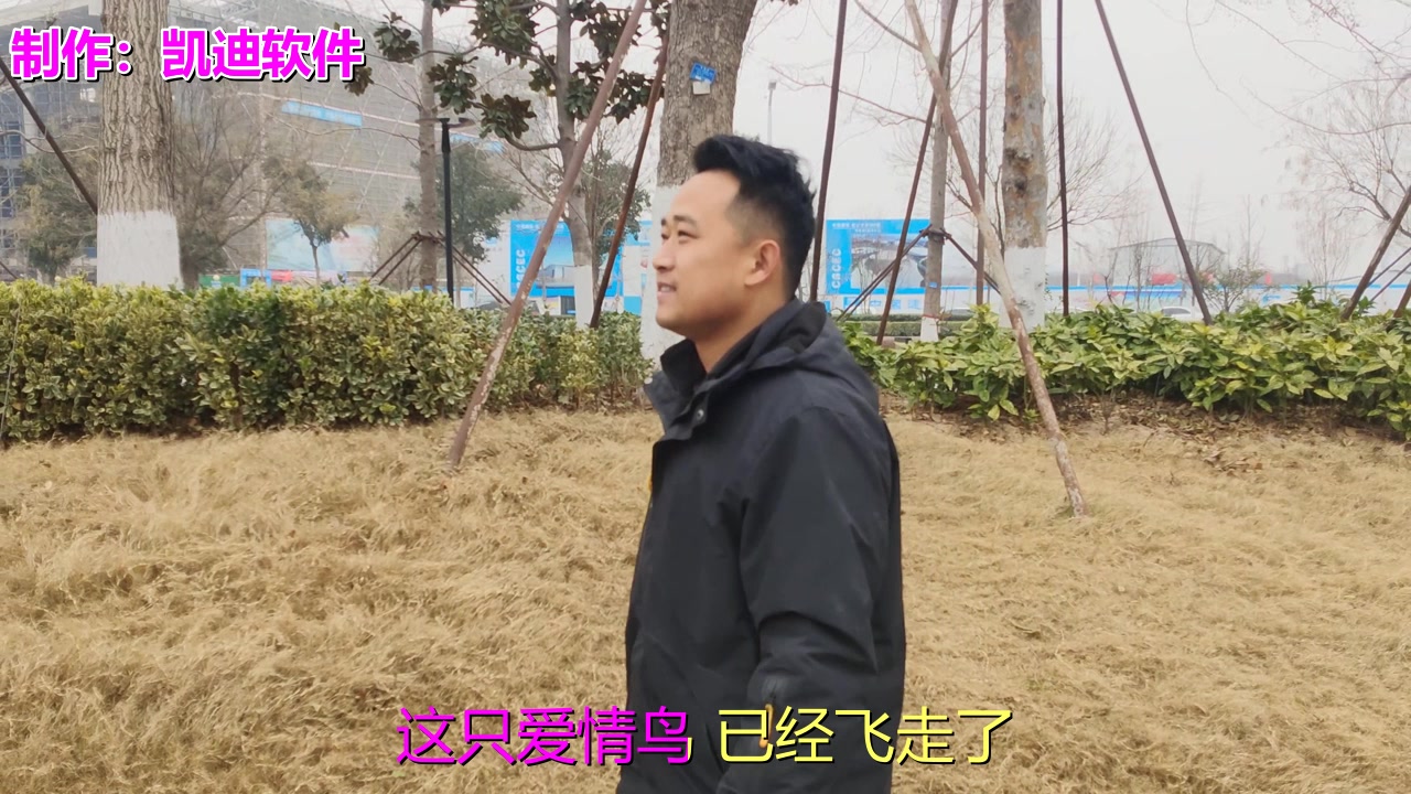 爱情鸟在线论坛1爱情鸟在线论坛文章-第2张图片