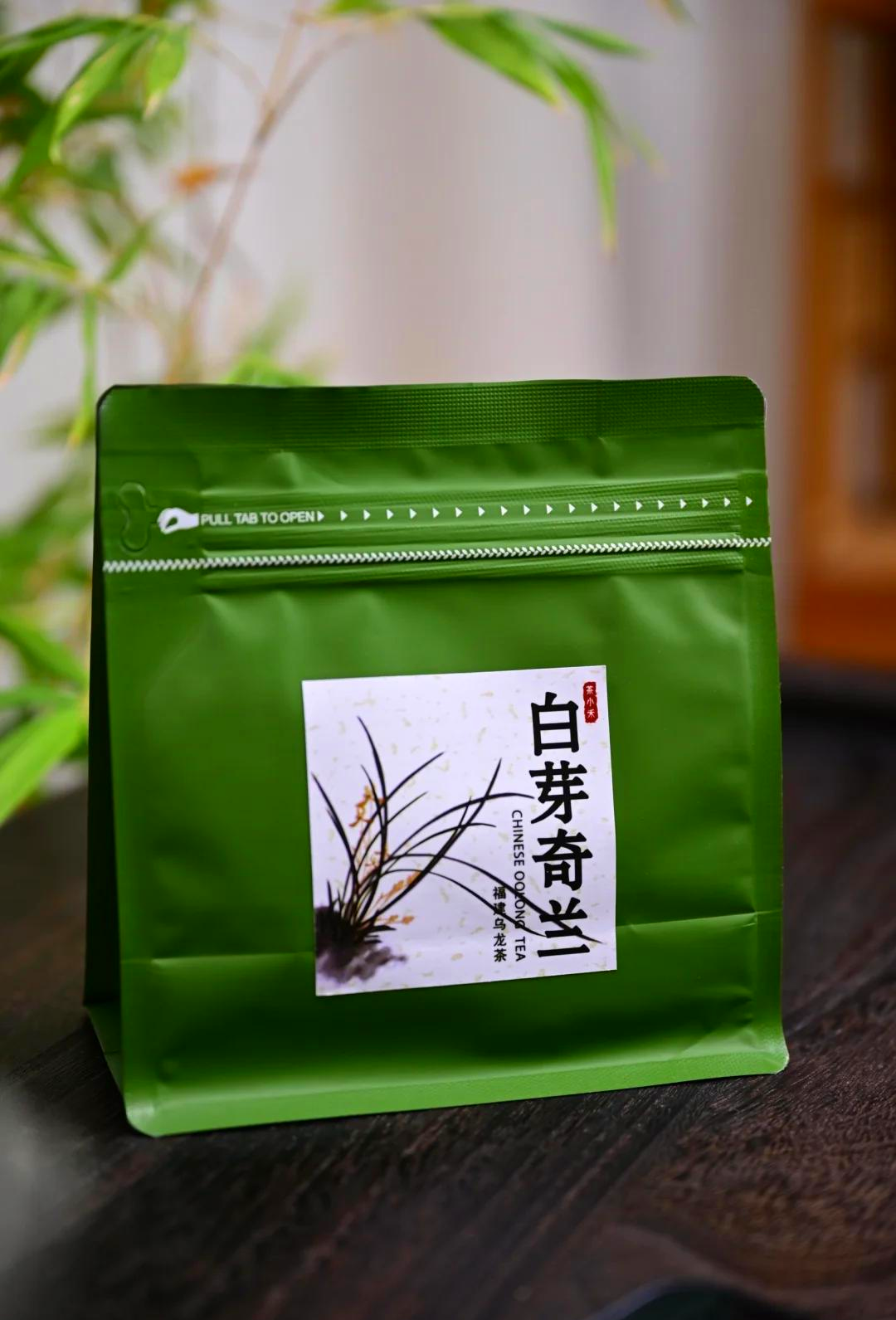 白芽奇兰白芽奇兰，兰花中的珍品-第2张图片