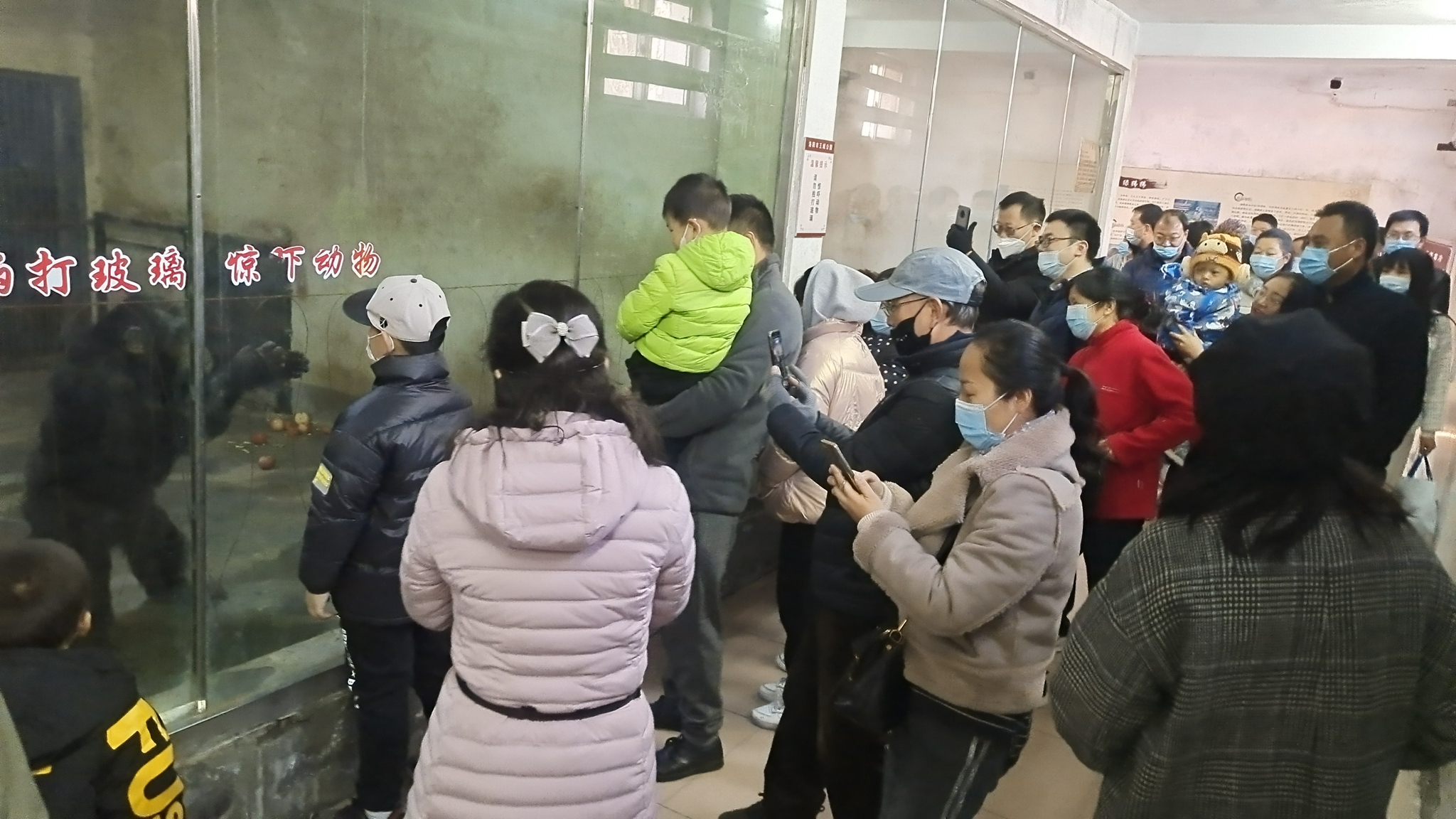 公园20元一次性工作者何处寻-第3张图片