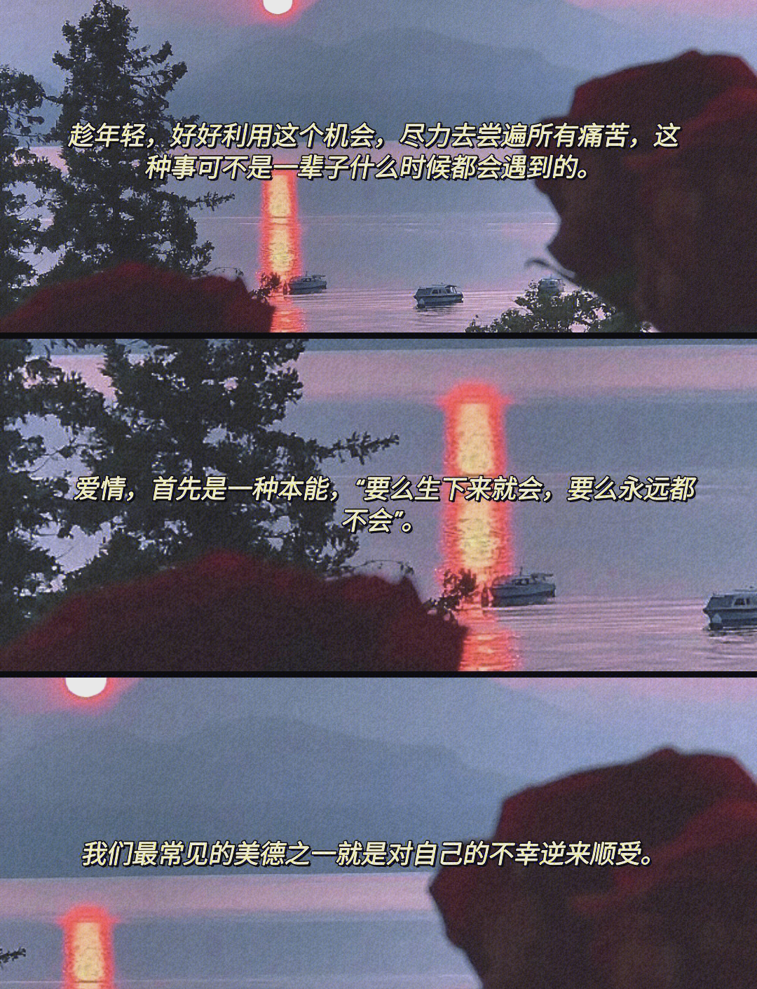 新版资源天堂中文新版资源天堂中文，探索无限可能-第1张图片