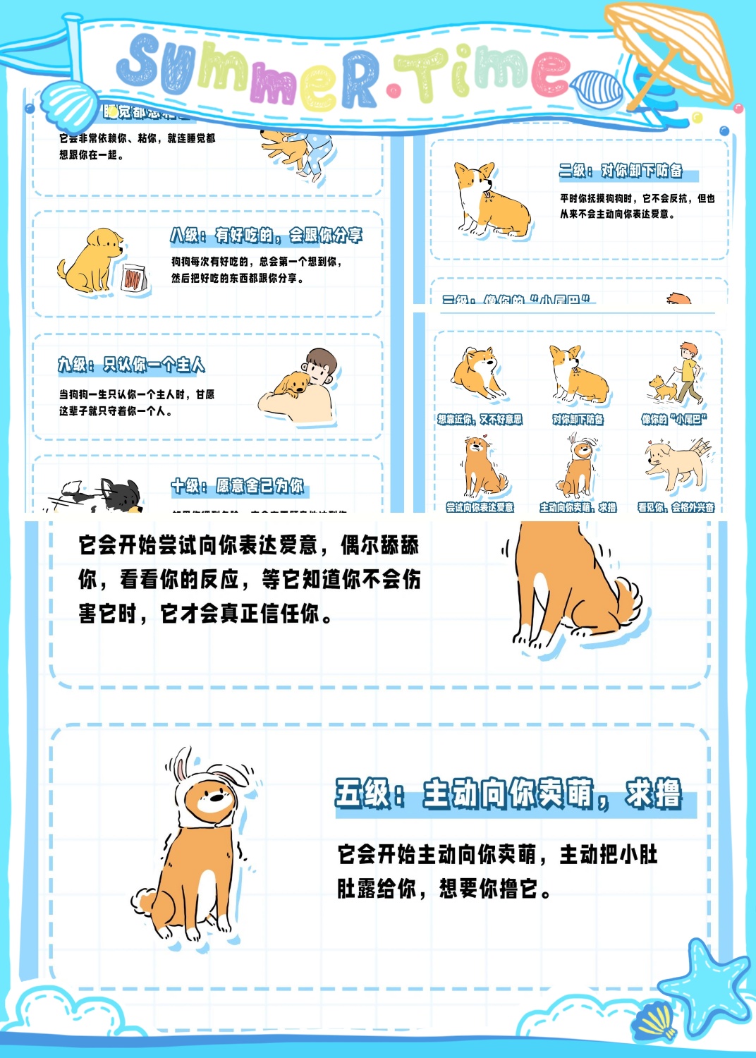 怎么教狗狗no如何教狗狗学会自我照顾-第2张图片