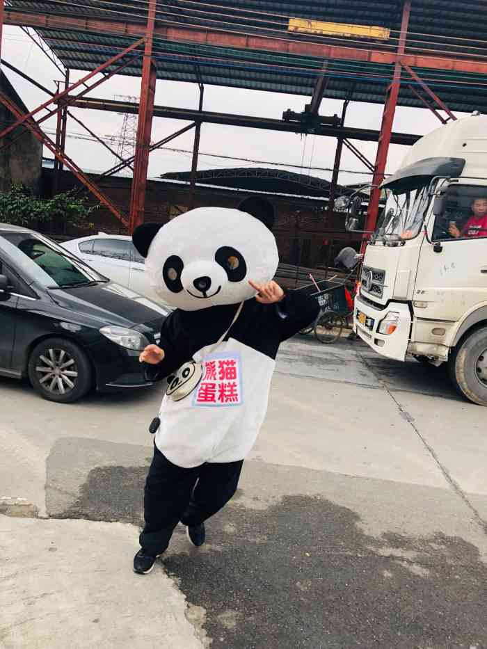 熊猫人官方旗舰店熊猫人官网，探索官方网站的多维度信息-第1张图片