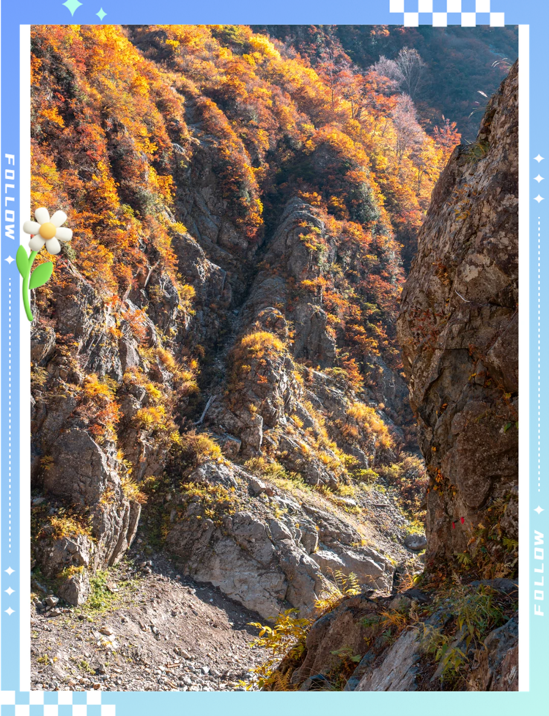 猎鹿人游戏，探索未知的冒险之旅