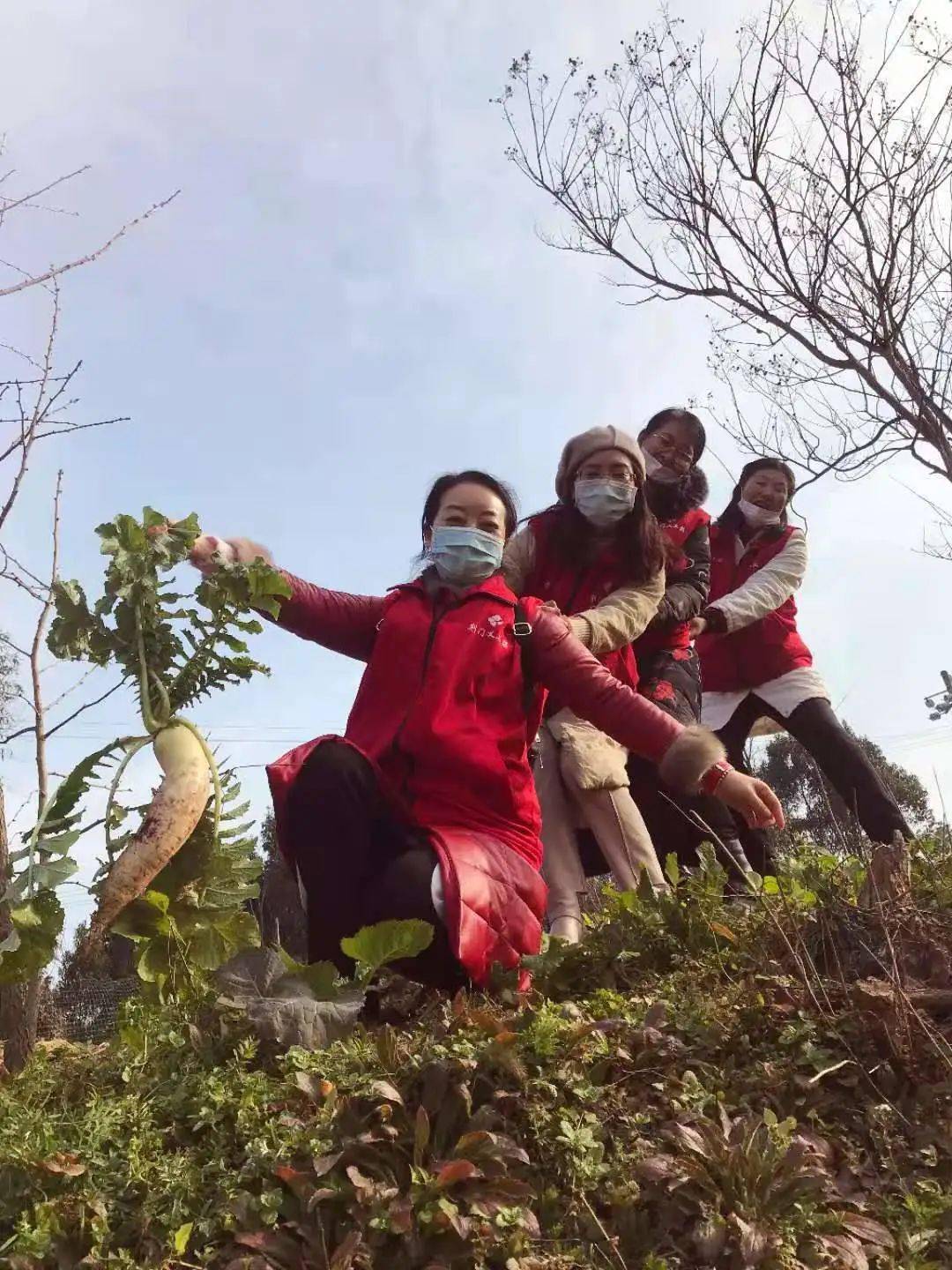 在床上拔萝卜又疼又叫痛-第1张图片