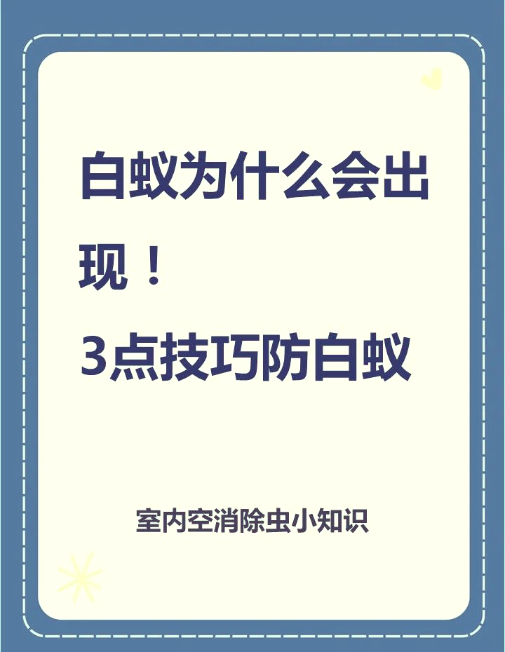 白蚁喜欢甜味易分解食材的探索-第1张图片