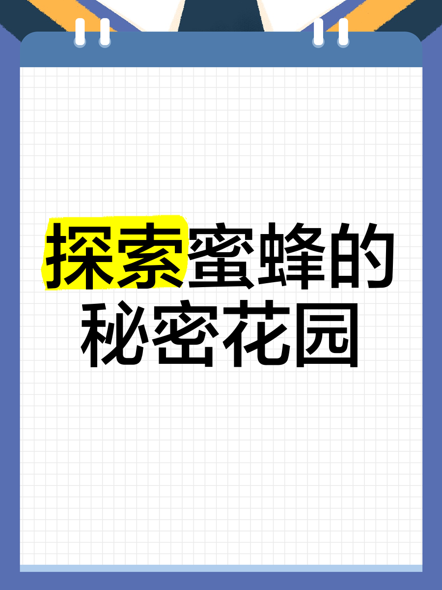 野花视频看片免费，探索视频世界的秘密花园-第2张图片