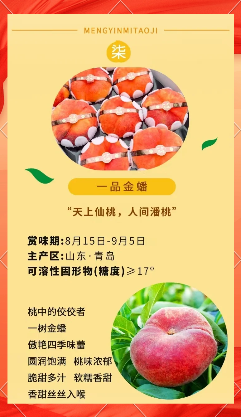 黄桃AV无码免费一区二区三区体验分享-第1张图片