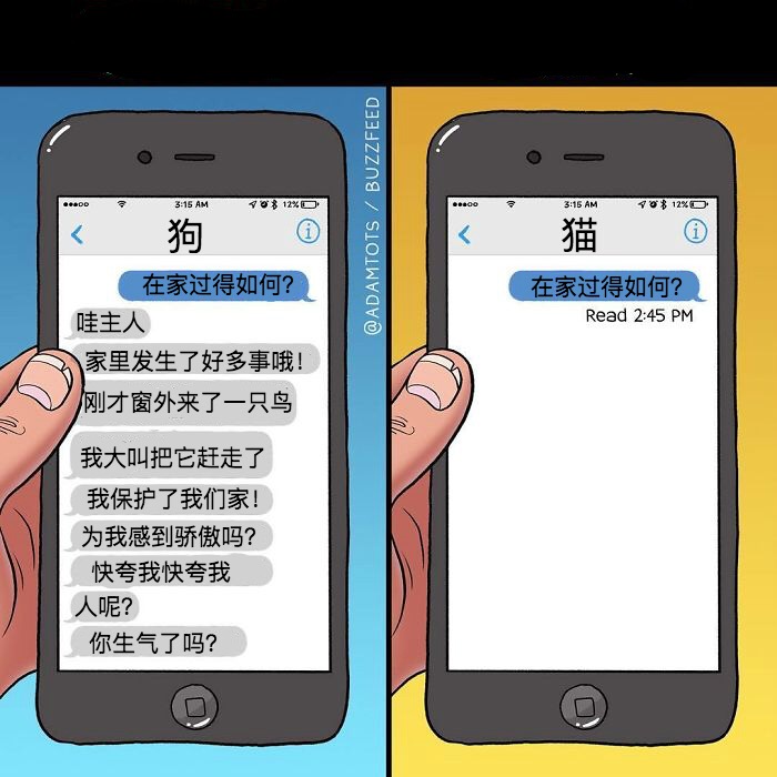 S如何调养M小狗-第2张图片