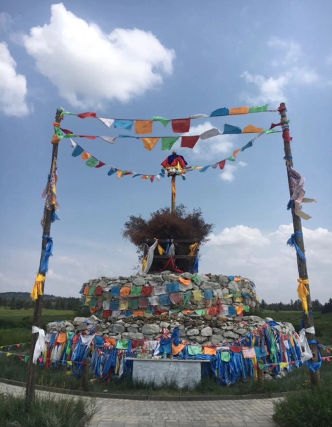 仙踪林COM，探索神秘之旅的起点