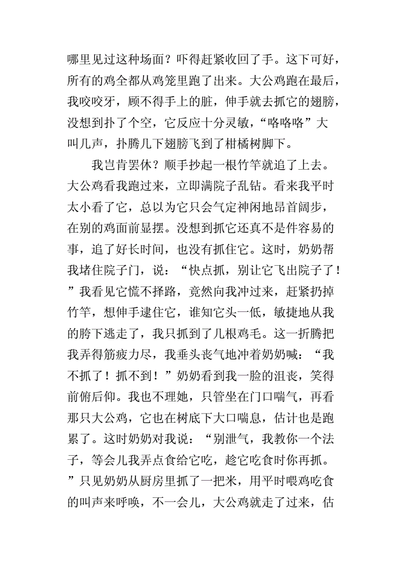 坐在学长鸡上面写作文作业