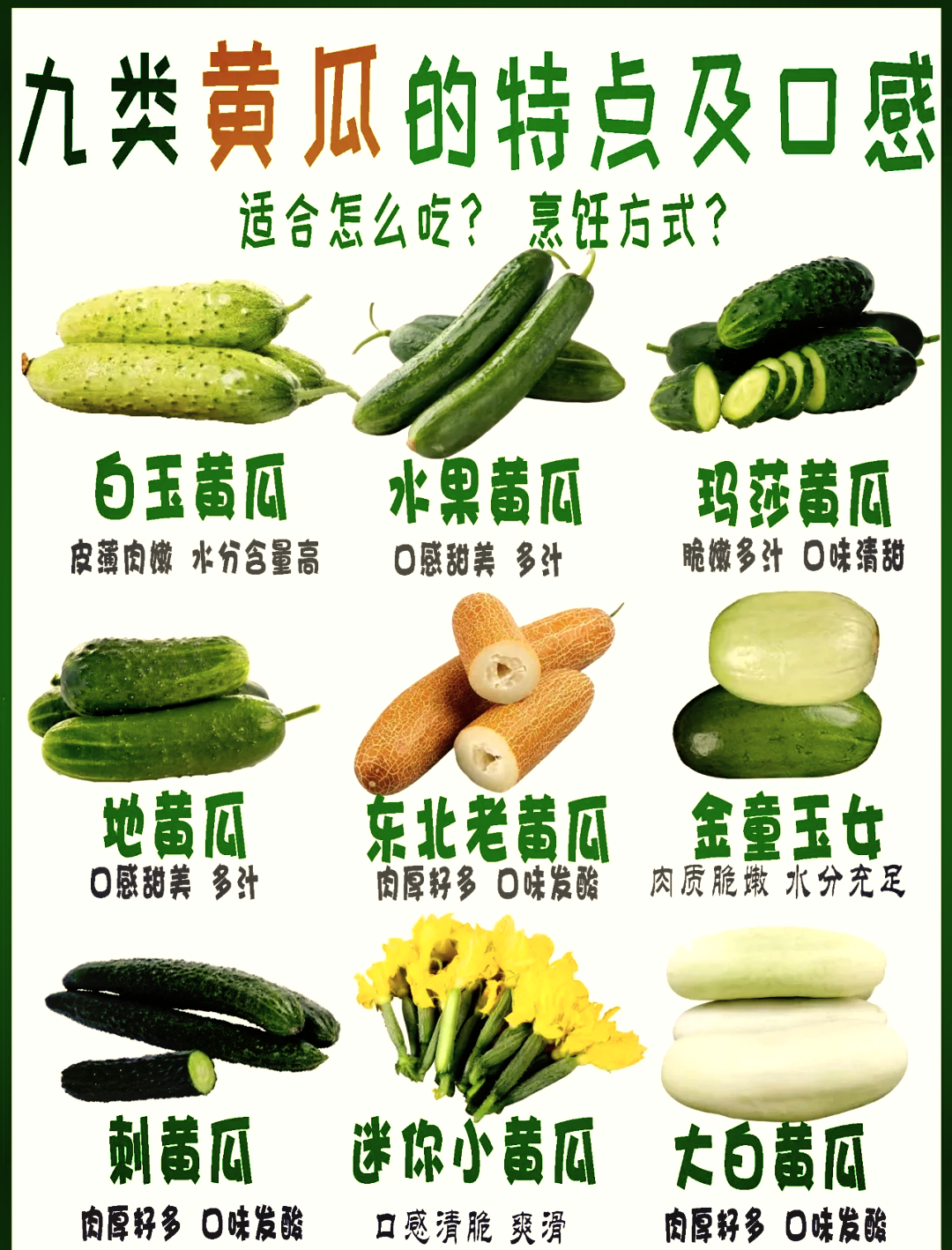 黄瓜动漫图案大全黄瓜动漫库，探索动漫的无限魅力-第2张图片