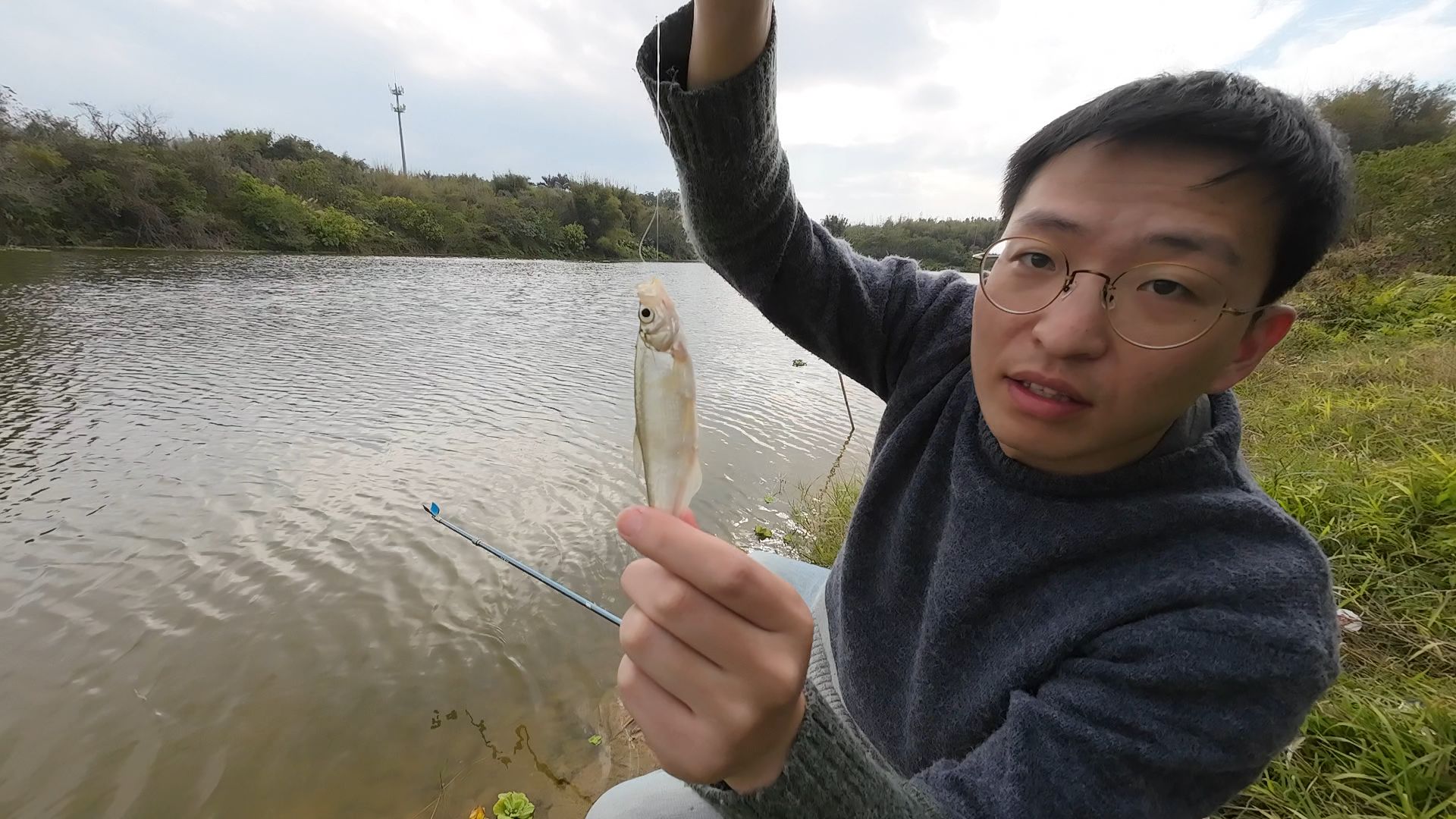 小鱼儿心水论免费开奖结果小鱼儿心水论坛，探索网络世界的乐园-第2张图片