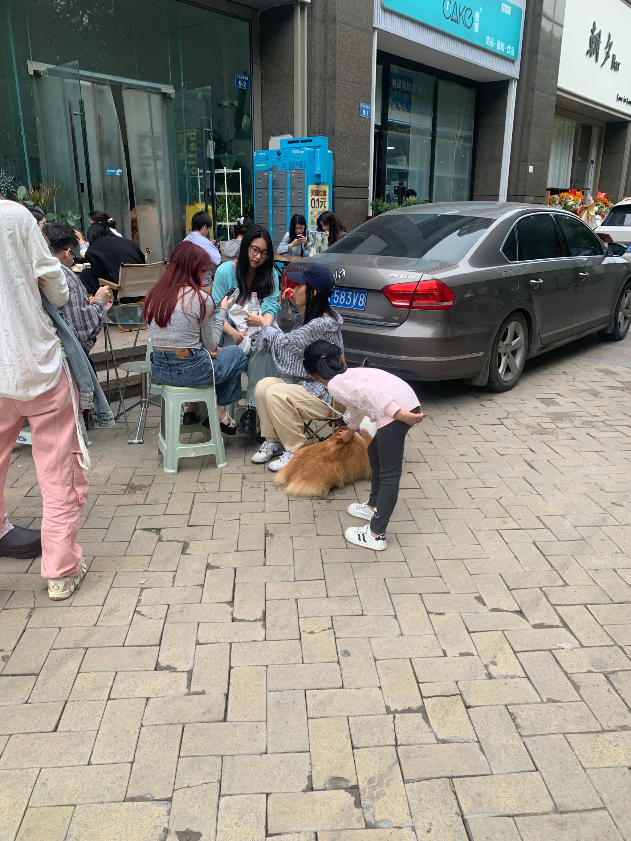 狗的东西又大又长狗的东西又大又长-第1张图片