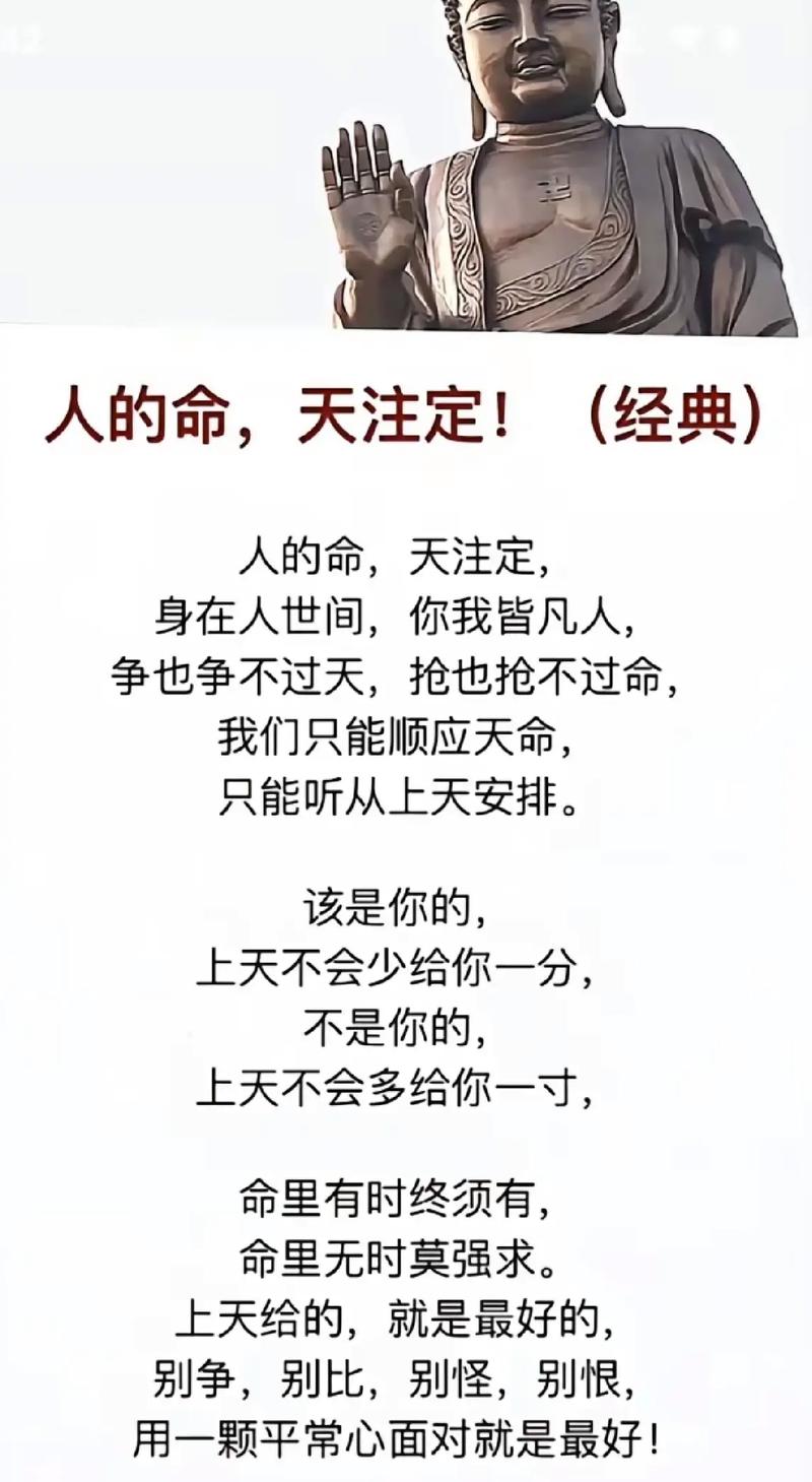 福利双色球开奖号码结果查询表福利双色球开奖号码揭晓-第1张图片