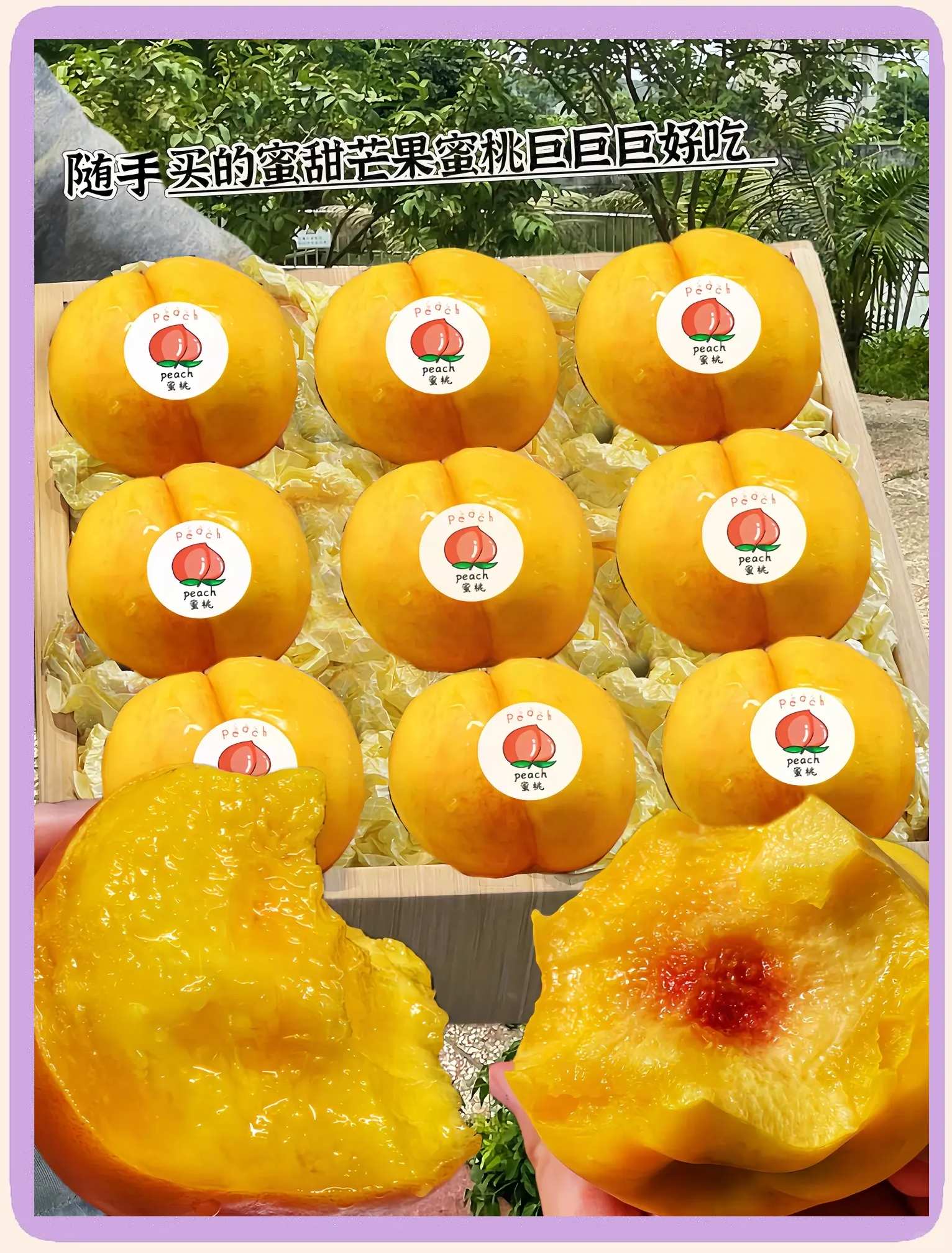 蜜桃圈蜜桃圈，探索甜蜜的水果世界