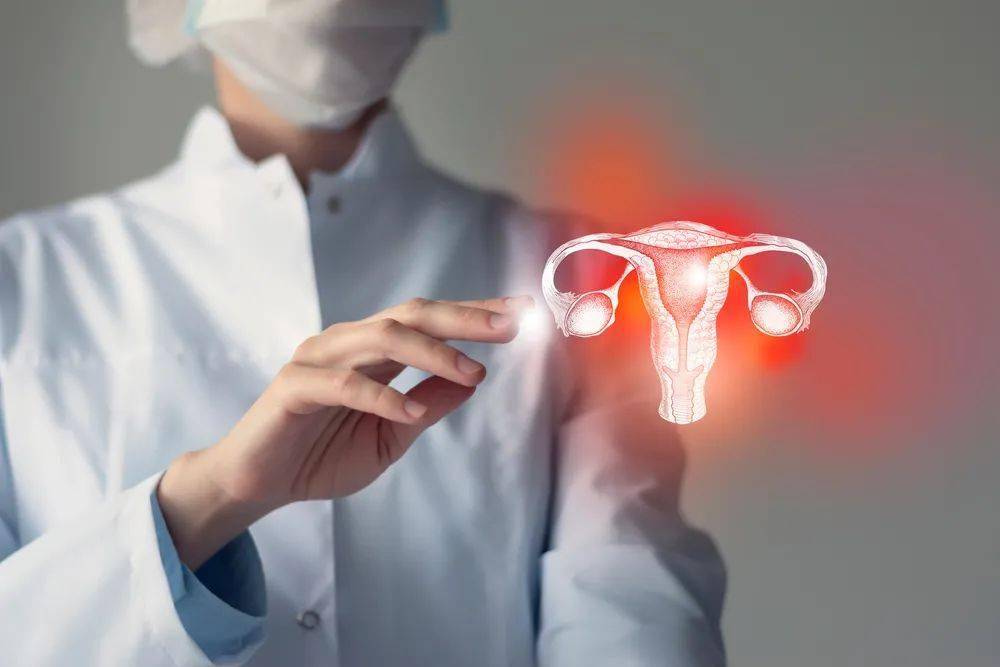 熟女泻火，女性健康与平衡之道-第2张图片
