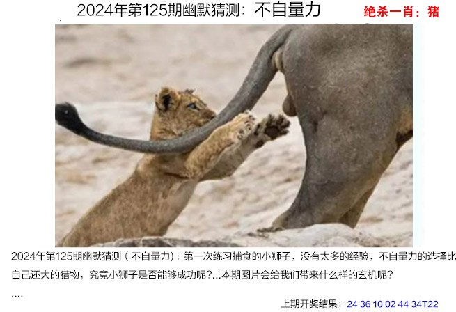 澳门码准确一码一肖免费下载澳门码准确一码一肖免费下载-第2张图片
