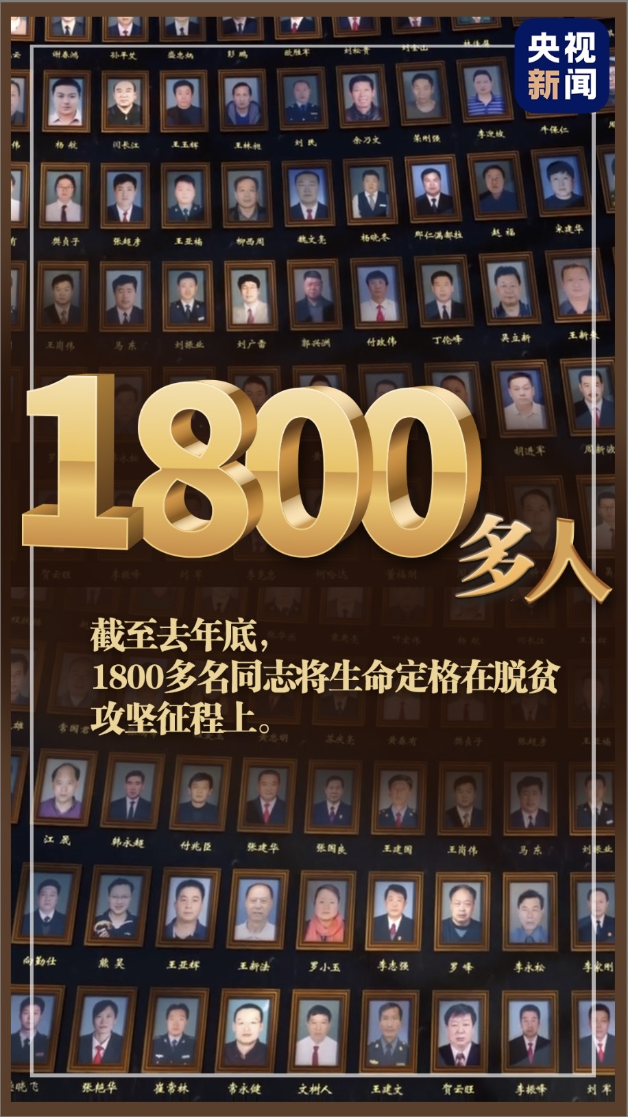 一码一肖100%精准一码一肖，解锁数字世界的彩票奇迹-第1张图片