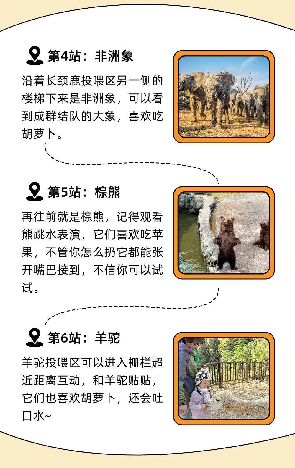 萌兽世界，探索神秘的世界-第1张图片
