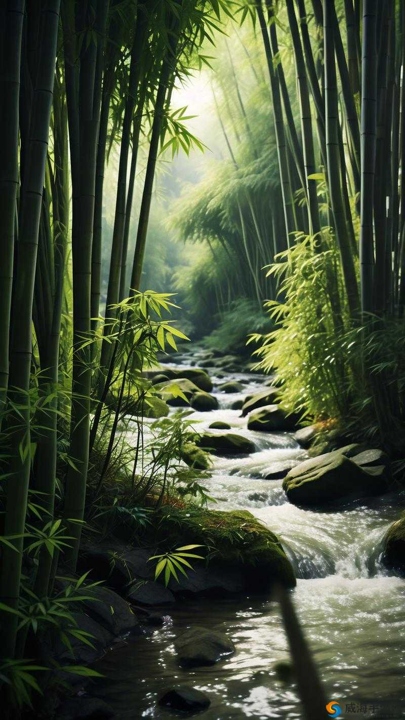 野花社区在线观看免费高清视频10野花社区在线观看免费高清视频-第1张图片