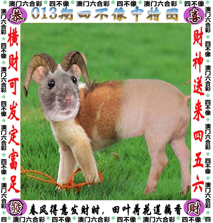 二四六天天好彩资料 玄机二四六天天好彩资料玄机-第2张图片