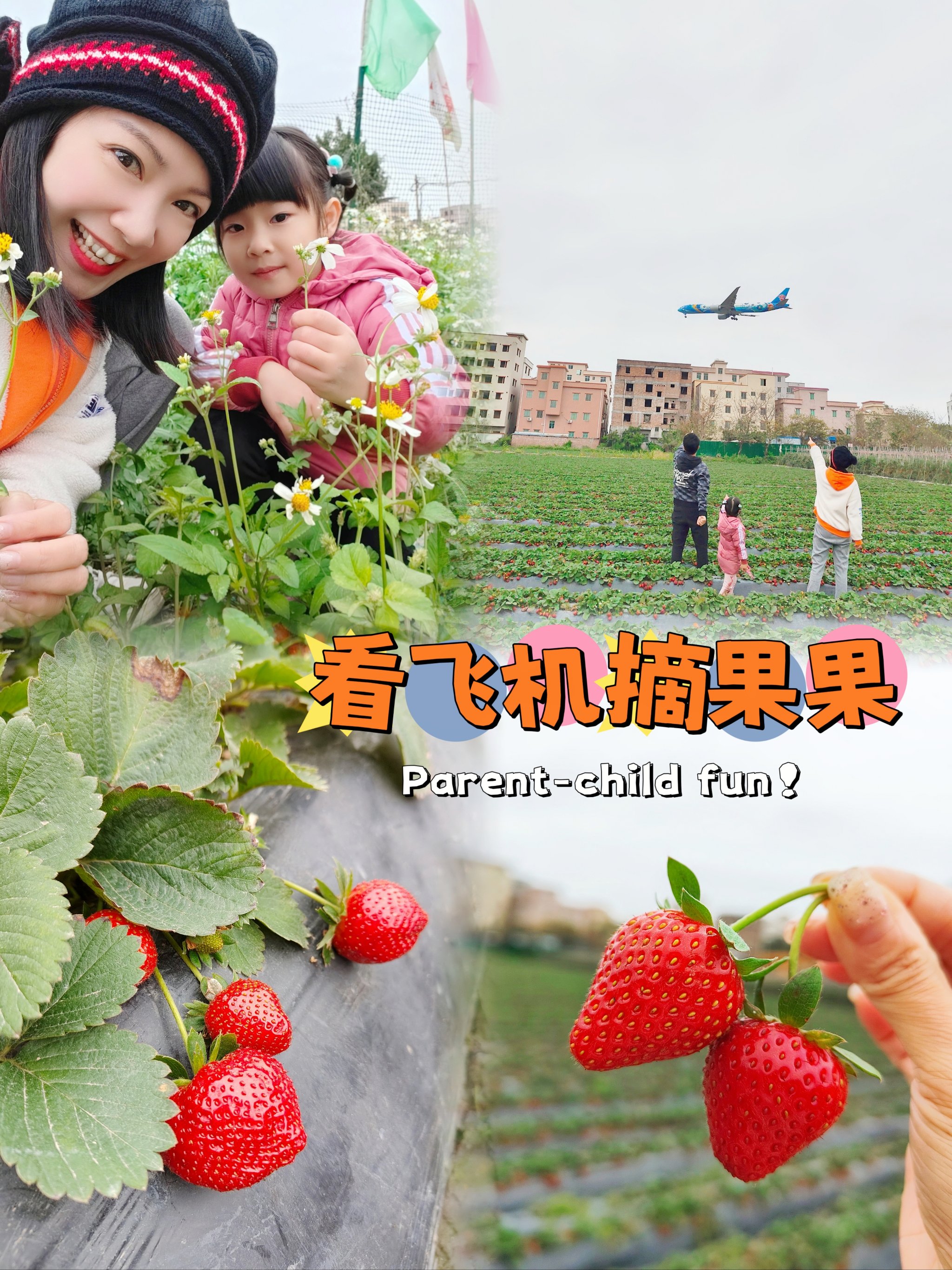 草莓视频下载app观看免费草莓视频下载app观看免费，探索视频新世界-第1张图片