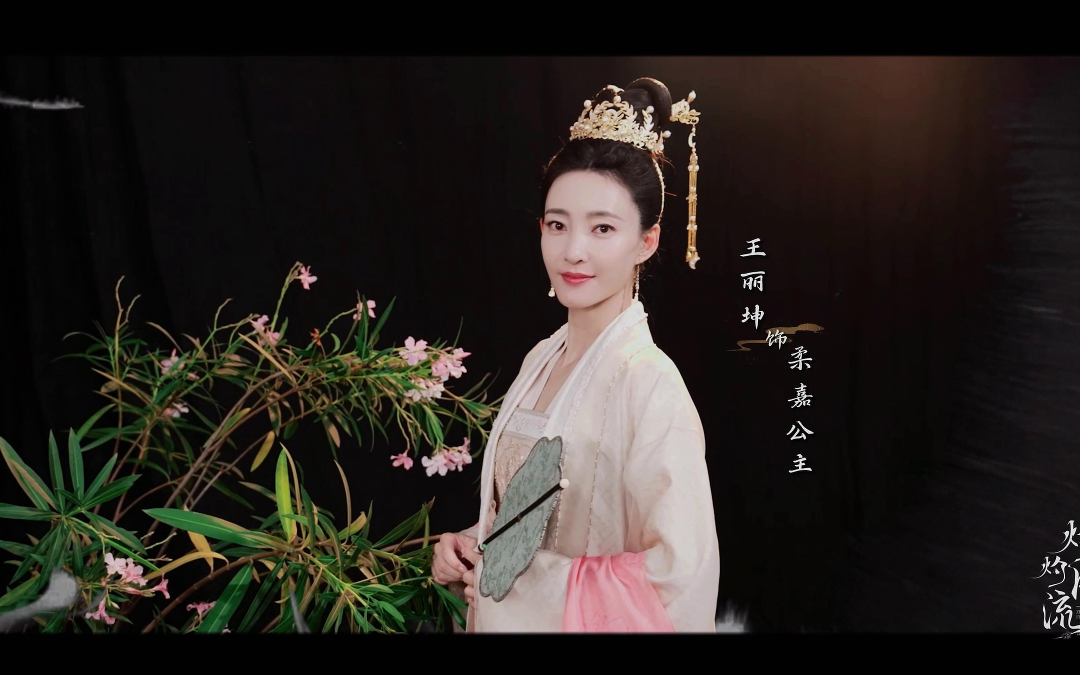 双面公主与双面王子-第1张图片